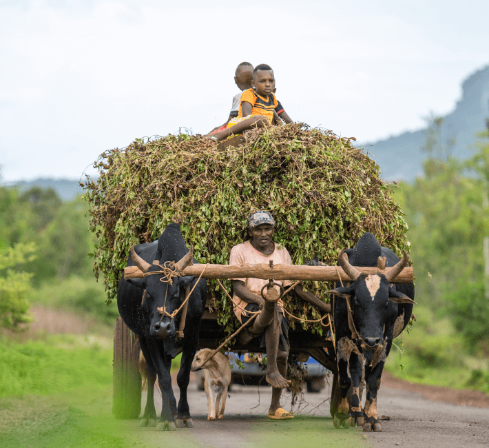 A man and two children joyfully riding together on a cart