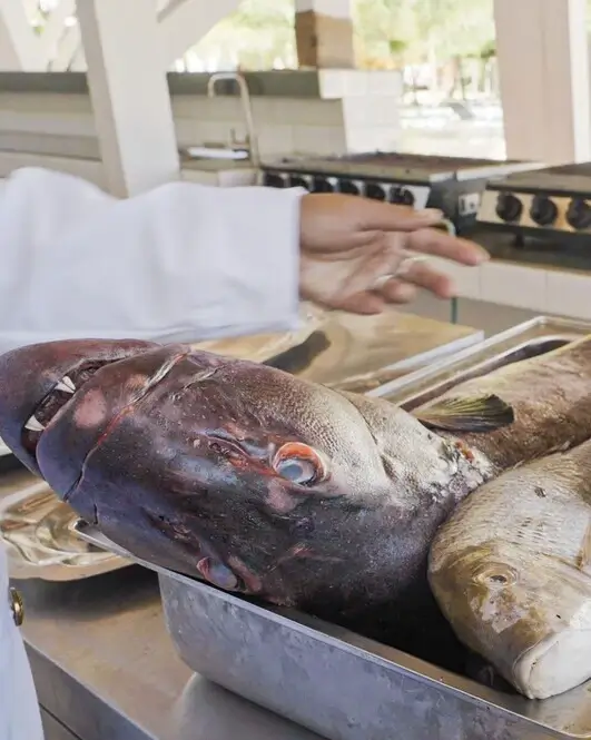 A man in a white coat holds a fish