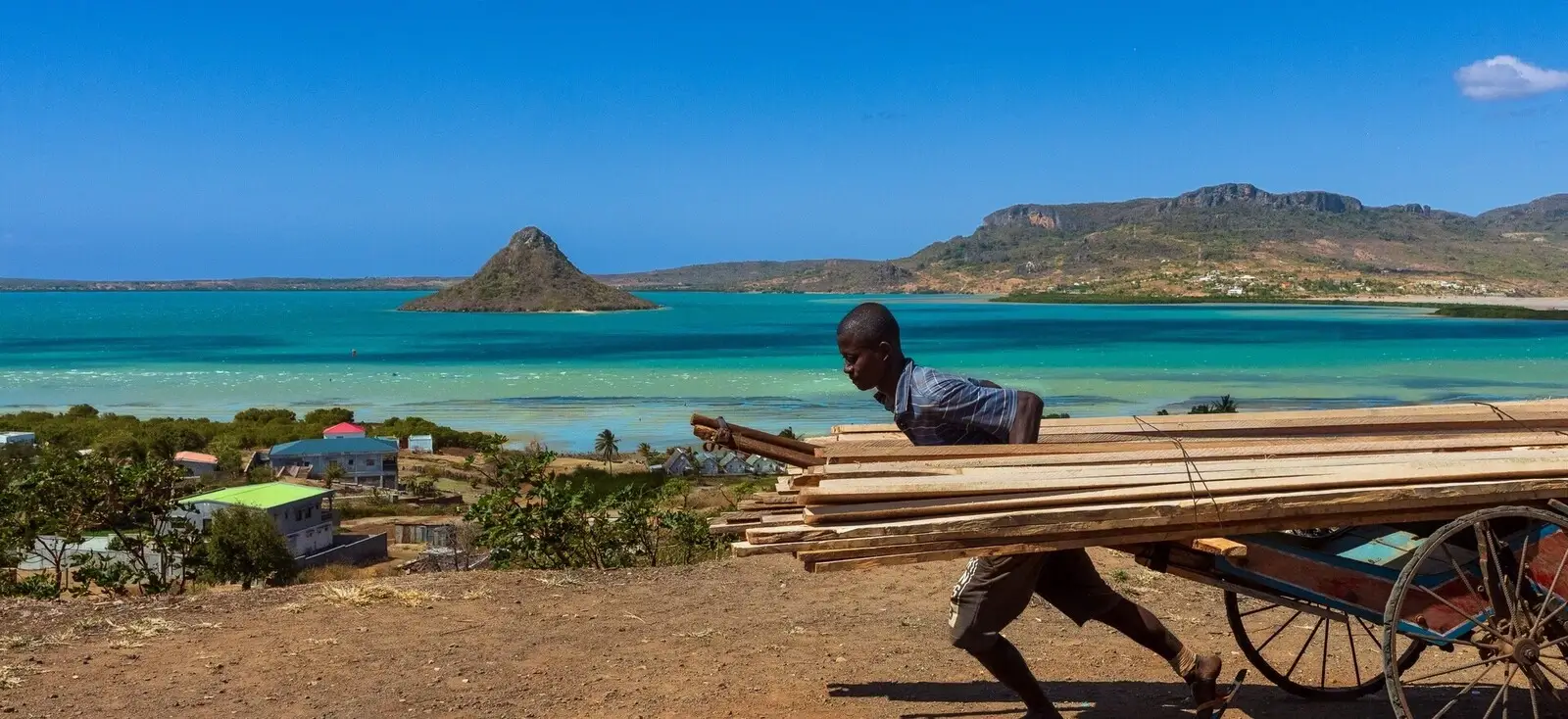 Why Madagascar banner