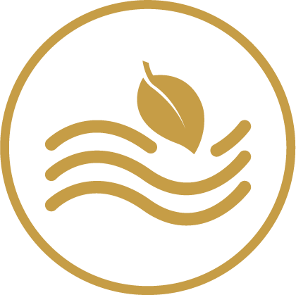 Clean air & water icon