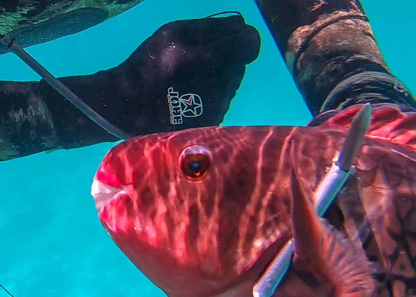 Fishing & Spearfishing