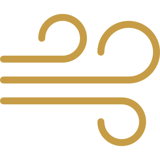 Wind Icon